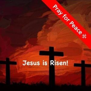 Meet your Posher, Eddie